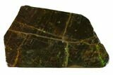 Iridescent Ammolite (Fossil Ammonite Shell) - Alberta, Canada #162360-1